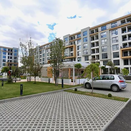 Selena Onix Blue Mamaia 1 Navodari